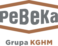 Przedsiębiorstwo Budowy Kopalń PeBeKa S.A.