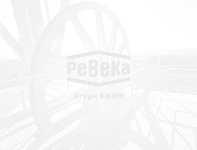 PeBeKa a Business Power in Poland