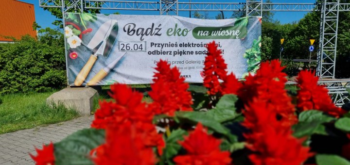 Podsumowanie akcji „Bądź EKO na Wiosnę”