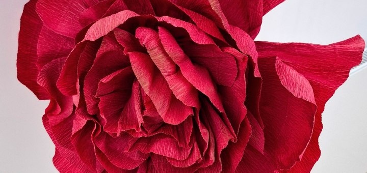 Dzień Kobiet w PeBeKa S.A. - spotkanie w wyjątkowym gronie