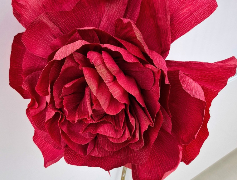 Dzień Kobiet w PeBeKa S.A. - spotkanie w wyjątkowym gronie