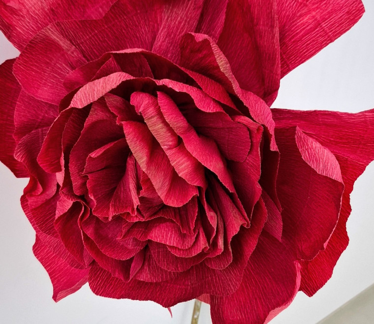 Dzień Kobiet w PeBeKa S.A. - spotkanie w wyjątkowym gronie