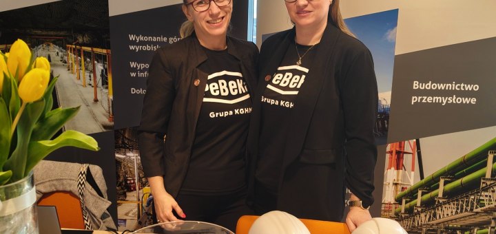 PeBeKa S.A. w regionie - rozmowy, obserwacje, możliwości